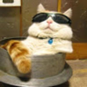 Meet your Posher, Catherine